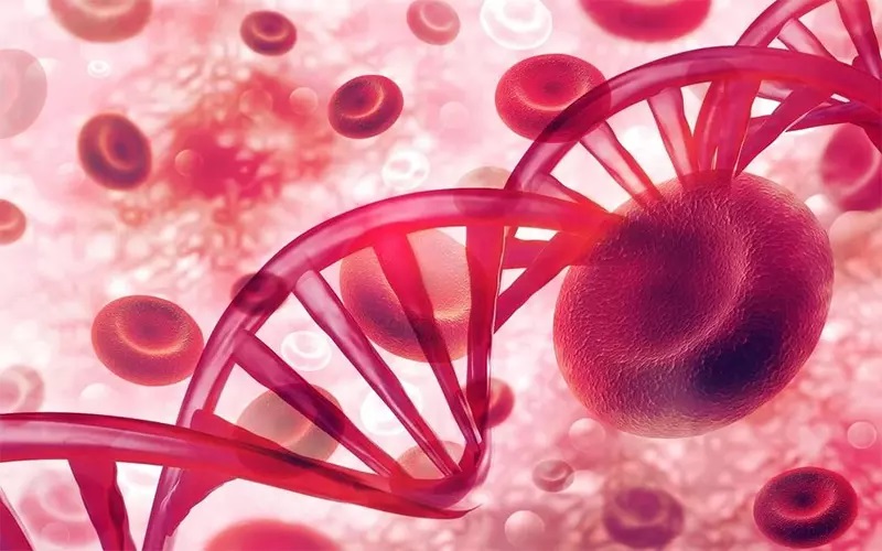 تاثیر 8 هفته تمرینات مقاومتی بر عوامل هماتولوژیک در زنان غیر ورزشکار